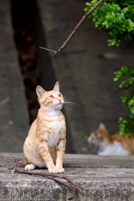 040807_7a.jpg