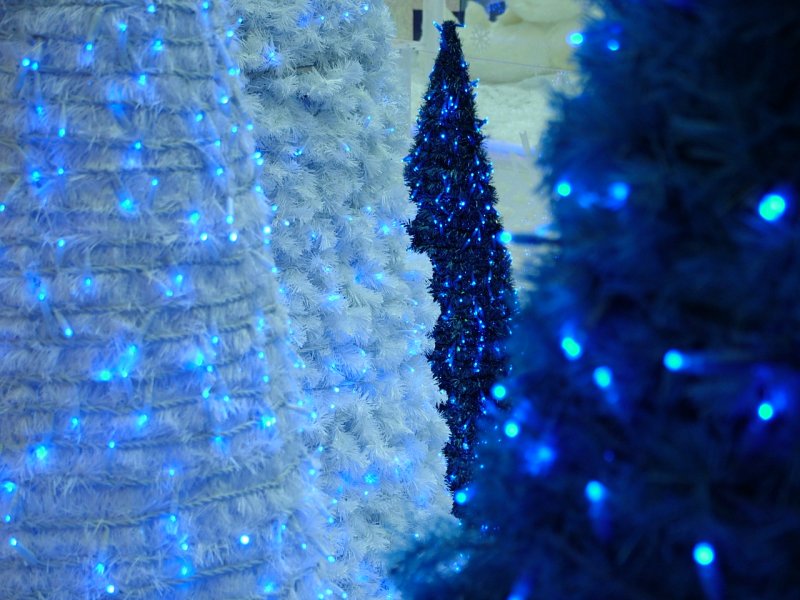 Christmas Trees Mall of the Emirates.JPG