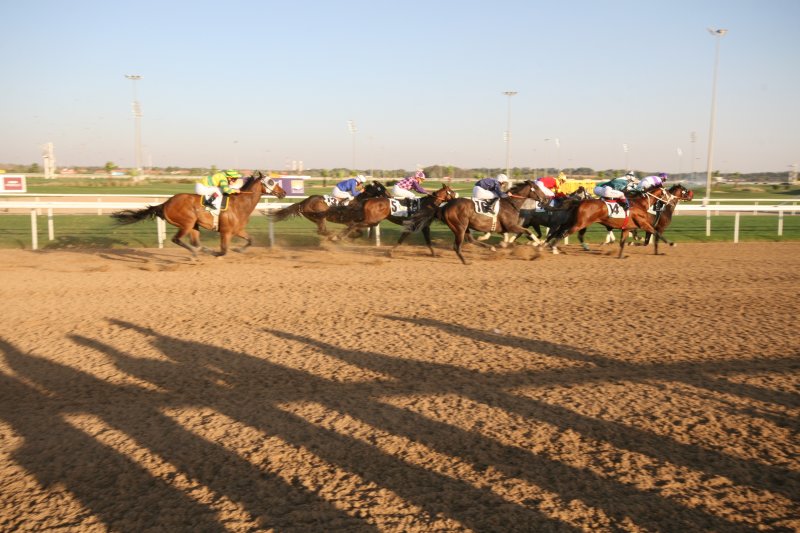 Dubai World Cup 2007.JPG