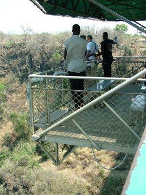 Lee Ready to Go Bungee.JPG