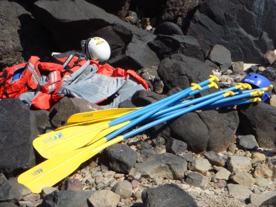 Paddles and Lifejackets.JPG