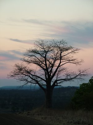 Day 7 Sunset in Zimbabwe.JPG