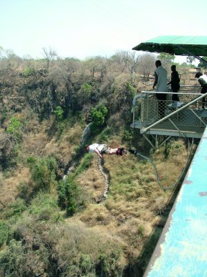 1148 7th October 06 Stephen Bungeeing from Victoria Falls Bridge Livingstone.JPG