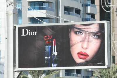 1338 9th December 06 Dior Advert Sheikh Zayed Road Dubai.JPG