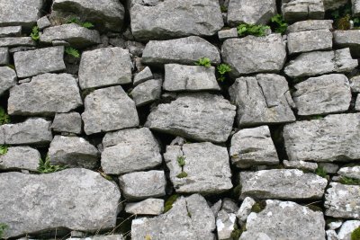 Stone Wall Ireland.JPG