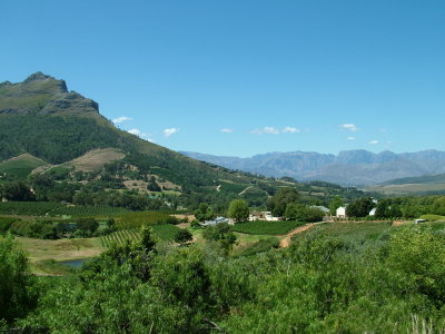 Winelands Capetown South Africa.JPG