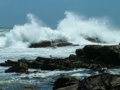 Breakers Cape of Good Hope.JPG