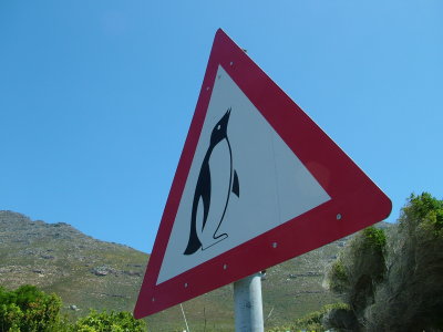 Beware Penguins.JPG
