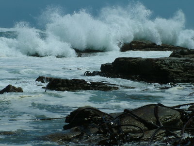 Crashing waves Cape of Good Hope.JPG