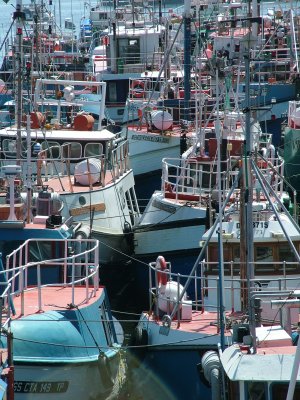 Fishing Boats Cape Town.JPG