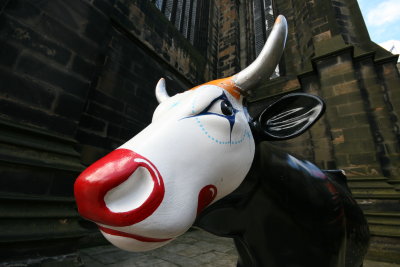 Edinburgh Cow.JPG