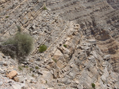 Sedimentary Rocks  Ras Musandam Oman.JPG
