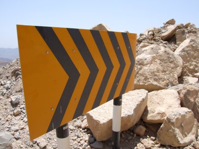 There were lots of these on  Ras Musandam Oman.JPG