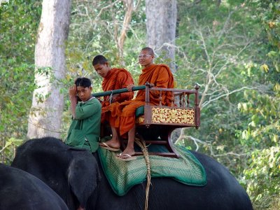 Monks on an elephant