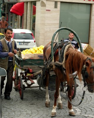 Istanbul fruit seller