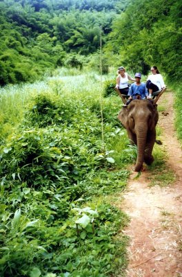 Elephant ride in Northern Thailand