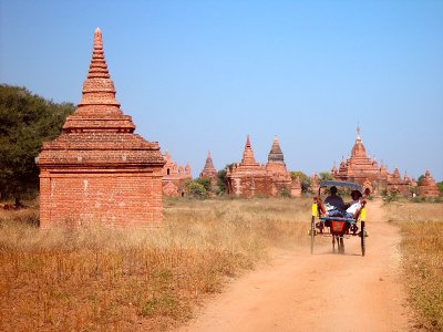 Touring Bagan by horse