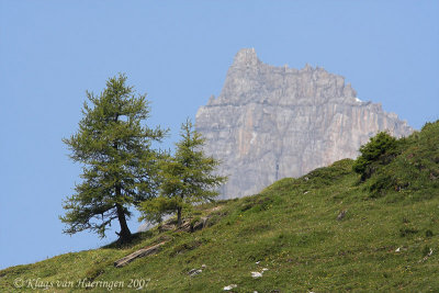 De Alpen / The Alps