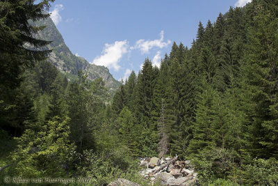 De Alpen, The Alps