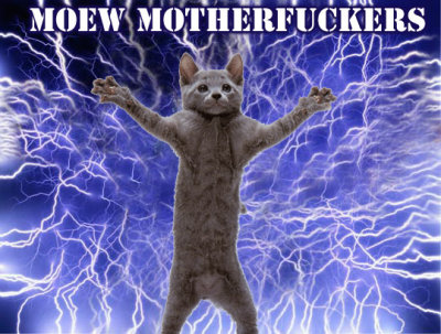 moew.jpg Lighting cat Tesla meow the power motherfuckers