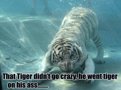 under_water_4tigerass.jpg tiger didn't do anything but be a tiger that bit sigfrey in vegas