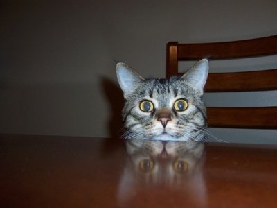 marcypeering.jpg