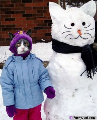 snowkittenweirdness.jpg