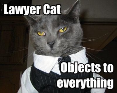 lawyer .jpg Attorney cat objects to everything