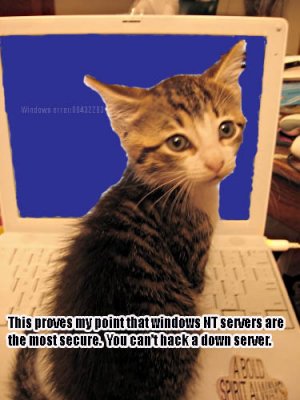 windowservers.jpg