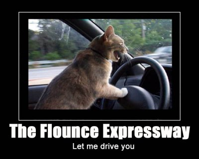 flounceexpressway.jpg