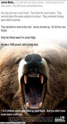 bear.jpg