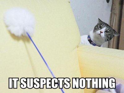 suspects.jpg