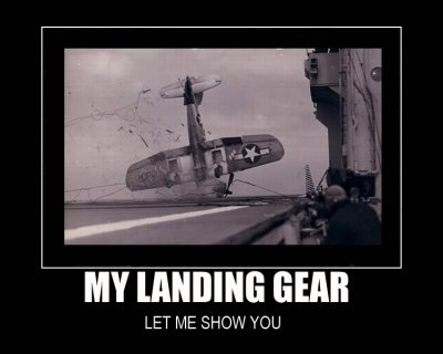 mylandinggear.jpg