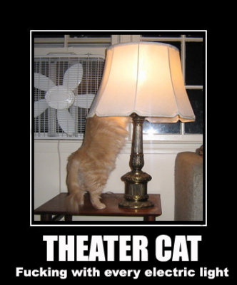 theatercat.jpg fucking with every electric light