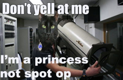 spotop.jpg Princess not spot op