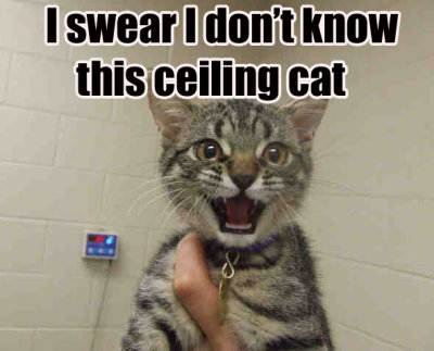 knowceilingcat.jpg