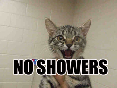 NOSHOWERS.jpg