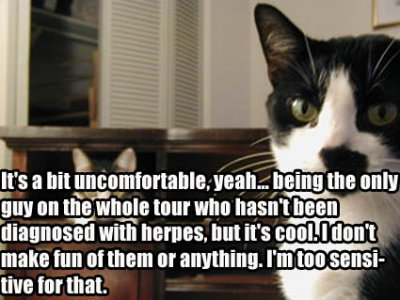 herpestour.jpg herpes joke for touring
