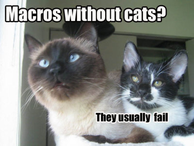 macrowithoutcats.jpg