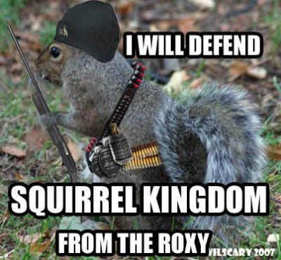 SQUIRRELDEFEND.jpg