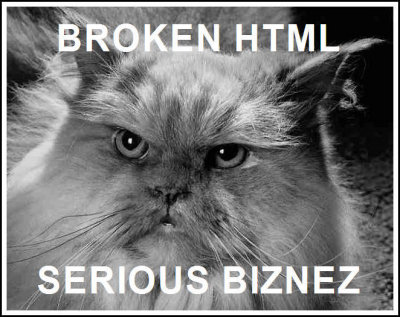 BROKENHTMLCAT.jpg