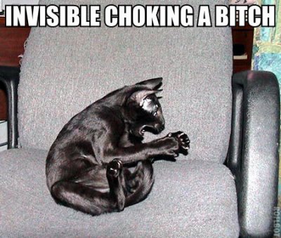 cat_choke2.jpg