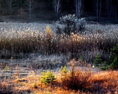 Ajax Conservation Area, Ontario