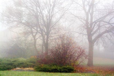 Foggy November # 3