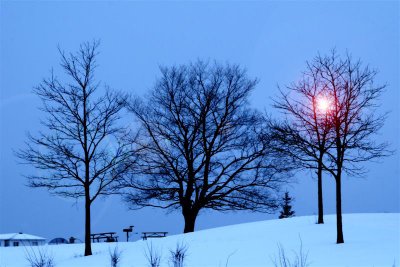 Winter Scene