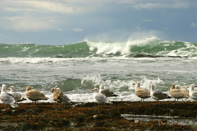 Restless Ocean