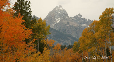 Grand Tetons and Autumn Colors