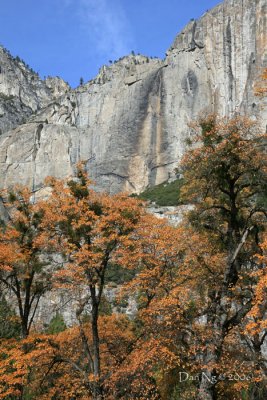 Dry Yosemite Falls and Oaks