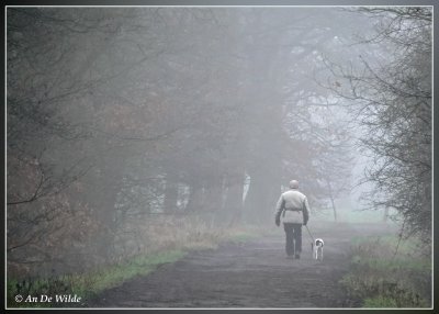 walking in the mist....