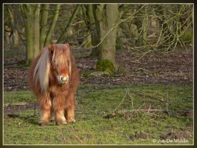 natuurbeheerders ;-)